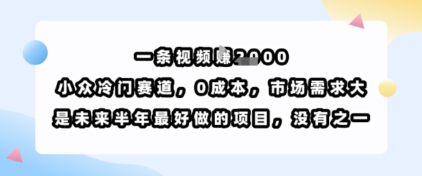 一条视频挣1k，小众冷门赛道，0成本，市场需求大，是未来半年最好做的项目，没有之一-淘米帮