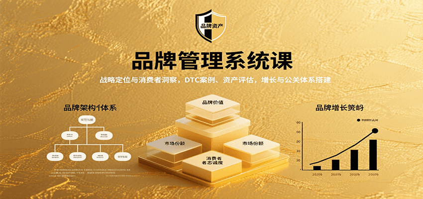品牌管理系统课：战略定位与消费者洞察，DTC案例、资产评估，增长与公关体系搭建-淘米帮