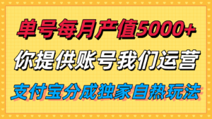 单月产值5000+，支付宝分成代运营，你提供账号坐等分钱，我们帮你运营-淘米帮