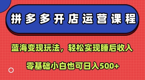 拼多多开店运营课程：蓝海变现玩法，轻松实现睡后收入，零基础小白也可日入5张-淘米帮