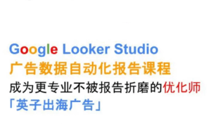 英子出海广告·Google Looker Studio从新手到高手-淘米帮