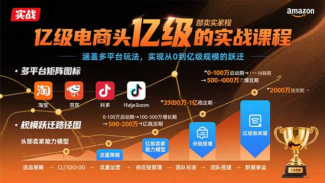亿级电商头部卖家的实战课程：涵盖多平台玩法，实现从0到亿级规模的跃迁-淘米帮