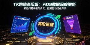 TK跨境高阶班：ADS数据深度解析，常见问题诊断与优化，数据驱动选品方法-淘米帮