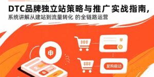 DTC品牌独立站策略与推广实战指南,系统讲解从建站到流量转化的全链路运营-淘米帮