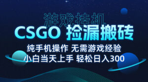 8月最新游戏搬砖,CSGO纯挂机,不需要玩游戏,实现真挂机,月入1W+-淘米帮