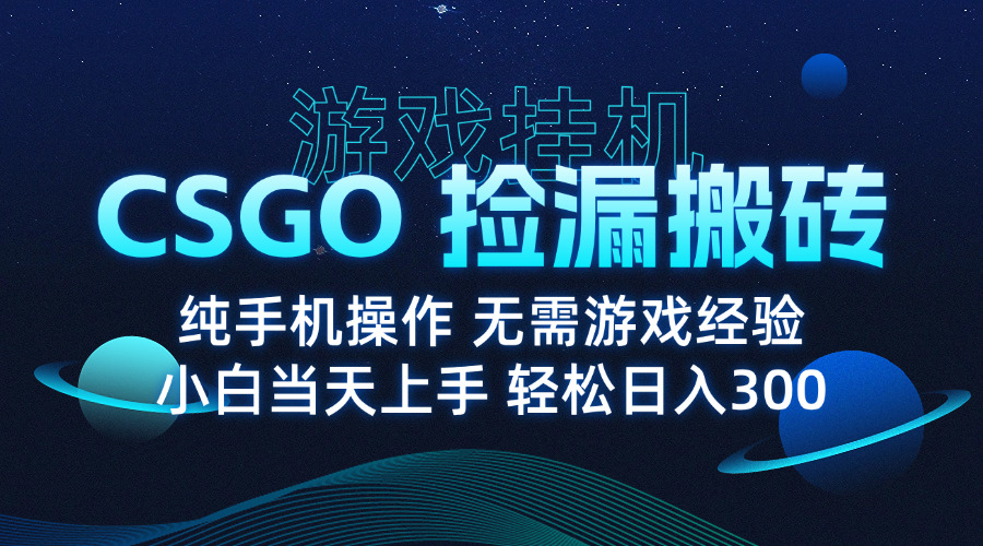 8月最新游戏搬砖，CSGO纯挂机，不需要玩游戏，实现真挂机，月入1W+-淘米帮