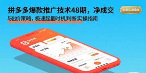 拼多多爆款推广技术48期，净成交与出价策略，极速起量时机判断实操指南-淘米帮