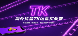 海外抖音TK运营实战课：账号搭建、精准引流、剪辑带货与私域转化-淘米帮