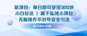 新项目单日即可变现3张的小白玩法无脑操作不封号安全引流-淘米帮
