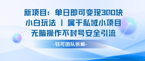 新项目单日即可变现3张的小白玩法无脑操作不封号安全引流-淘米帮