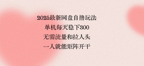 2025最新网盘自撸玩法，单机每天稳下3张，无需流量和拉人头，一个人就可轻松矩阵，全网独一份【揭秘】-淘米帮