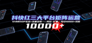 抖快红三大平台矩阵运营，12小时SOP实战+流量获取-风控-扩量，月引10000+线索-淘米帮