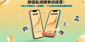 微信私域爆单训练营：一场公开课成交33单案例，99元自动训练营批量变现术-淘米帮