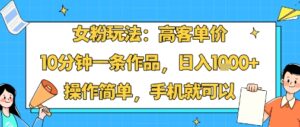 女粉玩法：高客单价，10分钟一条作品，日入1k+操作简单，手机就可以-淘米帮