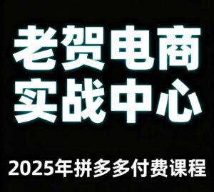 老贺电商2025年拼多多付费课程，用通俗易懂的方法告诉你多多怎么玩-淘米帮