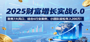 2025财富增长实战6.0,聚焦7大风口,结合6行业案例,小团队轻松年入200万!-淘米帮