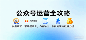 公众号运营全攻略:类型认证、联动视频号,内容输出、涨粉变现与数据分析-淘米帮