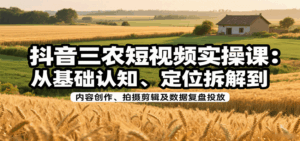 抖音三农短视频实操课：从基础认知、定位拆解到内容创作、拍摄剪辑及数据复盘投放-淘米帮