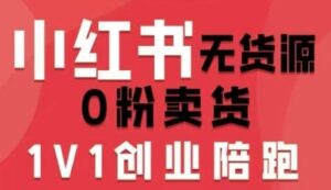 小红书无货源0粉电商课，开店准备、选品策略、笔记撰写、视频剪辑、数据分析、账号打造、资料文档-淘米帮