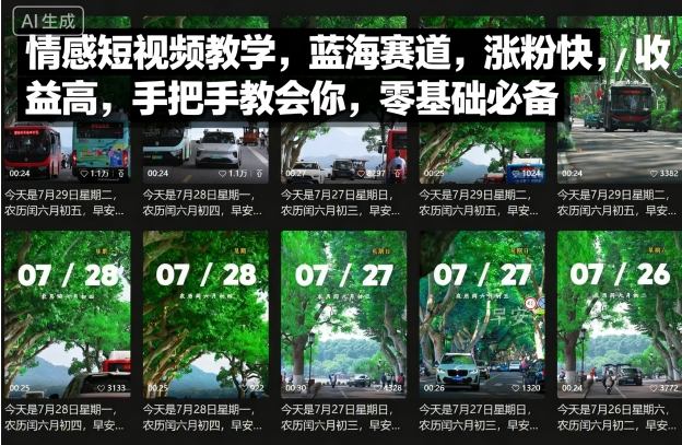 情感短视频教学，蓝海赛道，涨粉快，收益高，手把手教会你，零基础必备-淘米帮