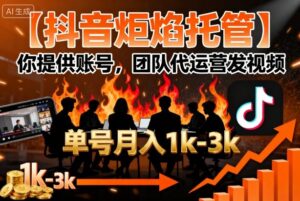 【抖音炬焰托管】你提供账号,团队代运营发视频,单号月入1k+【揭秘】-淘米帮