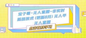 宝子哥·无人直播-非实时防风技术(更新25年9月)无人半无人直播-淘米帮