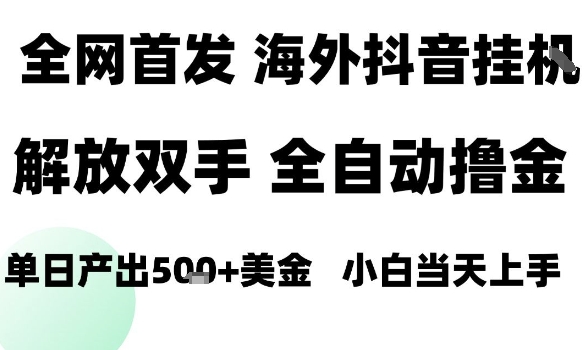 海外抖音无人直播，单日产出1.5k+，长期稳定，新手可玩，无脑操作【揭秘】-淘米帮