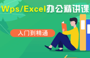 夏老师·WPS Excel办公(精讲课)-淘米帮