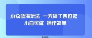 小众蓝海玩法 一天搞了四位数 小白可做 操作简单-淘米帮