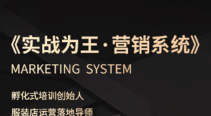 老杨·服装老板必修课《实战为王-营销系统》实现业绩被动式增长-淘米帮