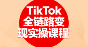 小杨老师·TikTok全链路变现实操课程-淘米帮