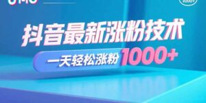 抖音最新涨粉技术，一天轻松涨粉1000+-淘米帮