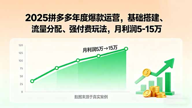 2025拼多多年度爆款运营，基础搭建、流量分配、强付费玩法，月利润5-15万-淘米帮
