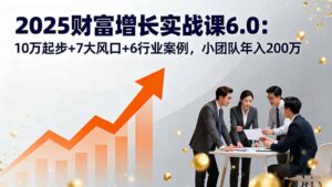 2025财富增长实战课6.0:10万起步+7大风口+6行业案例,小团队年入200万-淘米帮