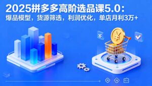 2025拼多多高阶选品课5.0:爆品模型,货源筛选,利润优化,单店月利3万+-淘米帮