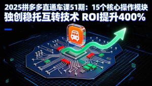 2025拼多多直通车课51期:15个核心操作模块 独创稳托互转技术 ROI提升400%-淘米帮