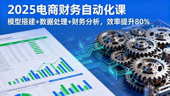 2025电商财务自动化课，模型搭建+数据处理+财务分析，效率提升80%-淘米帮