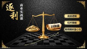 《逐 利》商业实战课,底层逻辑、杠杆策略、18锦囊,跨周期财富心法-淘米帮