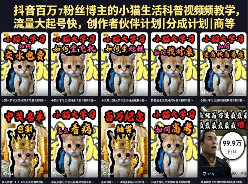 抖音百万粉丝博主小猫生活科普视频教学:零基础剪辑入门,快速起号变现副业-淘米帮