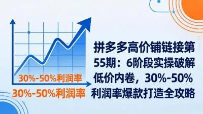 【精】拼多多高价铺链接第55期：6阶段实操破解低价内卷，30%-50%利润率爆款打造全攻略-淘米帮