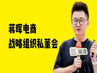 蒋晖电商战略组织私董会-教程视频打包下载-淘米帮