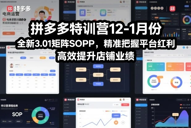 【精】拼多多特训营12-1月份，全新3.01矩阵Sop，精准把握平台红利，高效提升店铺业绩-淘米帮
