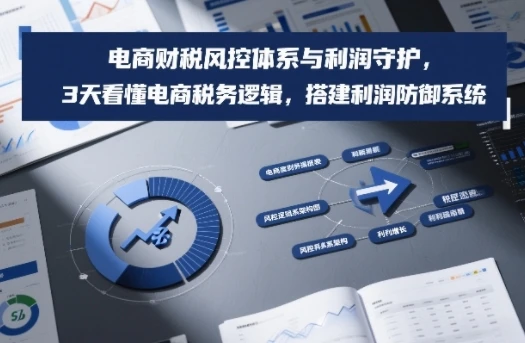 【精】电商财税风控体系与利润守护，3天看懂电商税务逻辑，搭建利润防御系统-淘米帮