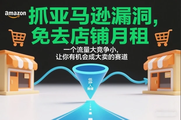 抓亚马逊漏洞，免去店铺月租，一个流量大竞争小，让你有机会成大卖的赛道-淘米帮
